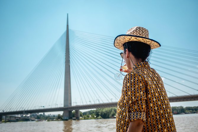 2 hours / Sightseeing Boat cruise Drinks Included - Cruising Zemun and the Danube-Sava story in 2 hours