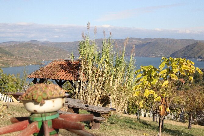 Along the Danube: Golubac Fortress & Iron Gate Gorge day trip from Belgrade - Danube National Park Views and the Lunch Stop at Kapetan Misin Breg