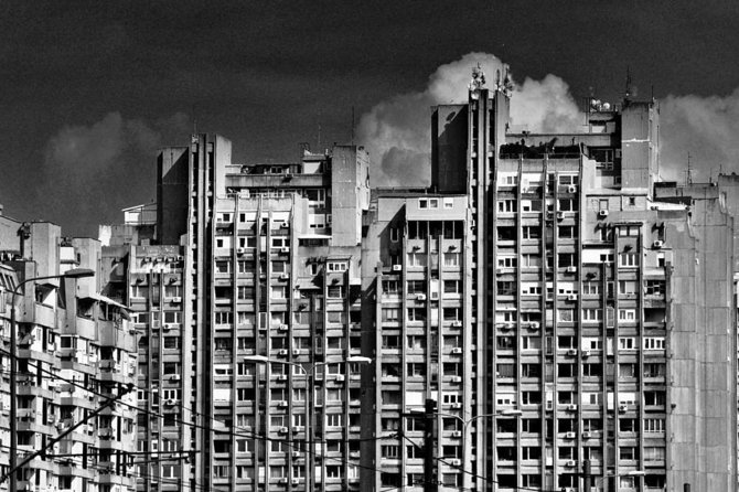 Architecture of New Belgrade - Brutalism Decoded - Park Prijateljstva: Peace and the Non-Aligned Movement in Tree Form