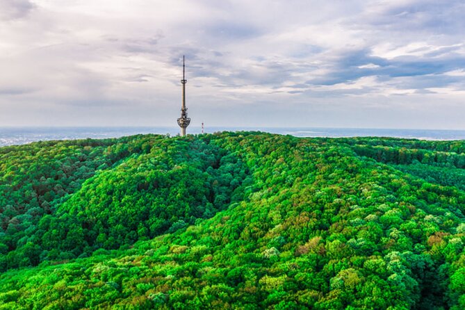 Avala Mountain Private Tour - Avala Mountain stop: what you’ll notice on the walk