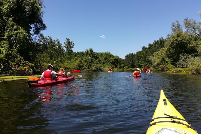 Belgrade Amazon Kayak Adventure - Quick hits before you paddle