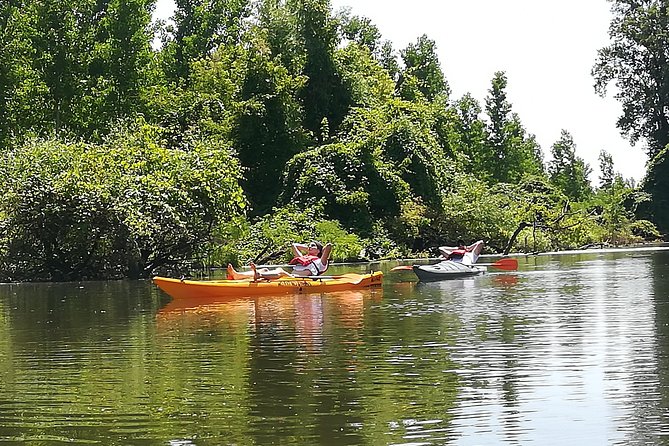 Belgrade Amazon Kayak Adventure - Beljarica, the Amazonia inside Belgrade
