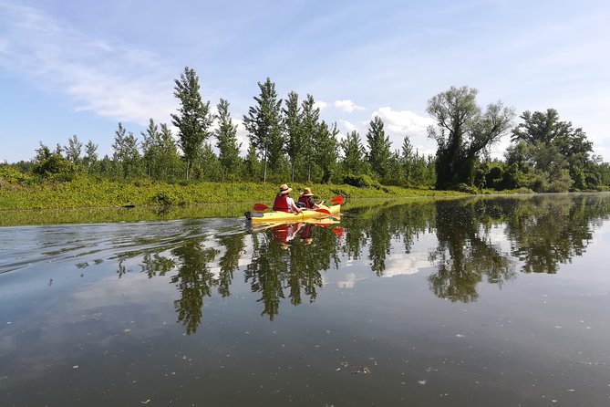 Belgrade Amazon Kayak Adventure - Check-in, mobile ticket, and getting your kayak skills set