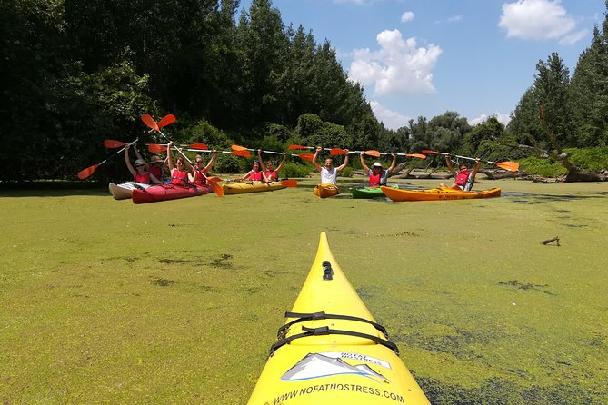 Belgrade Amazon Kayak Adventure - Paddling through Beljarica: quiet channels, bird life, and small animal sightings