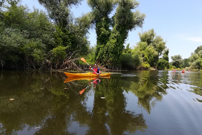 Belgrade Amazon Kayak Adventure - Photography notes: how to get better shots in wetland light
