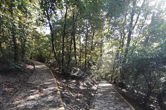 Belgrade Hiking Tour On Mountain Avala - Why Mount Avala is a smart half-day hike from Belgrade