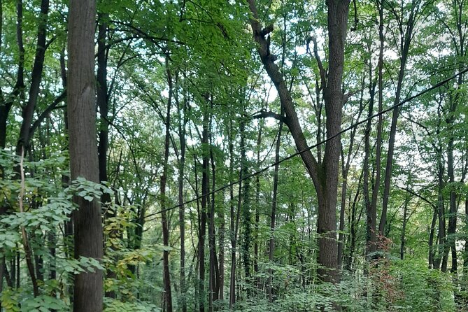 Belgrade Hiking Tour On Mountain Avala - The Unknown Hero monument at the summit