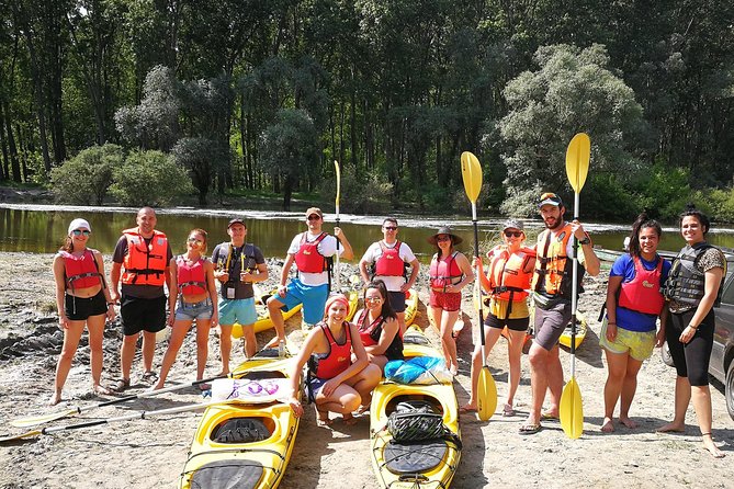 Belgrade War Island Kayak Tour - Key highlights you will actually feel on the water