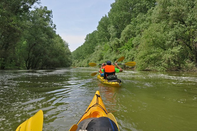 Belgrade War Island Kayak Tour - Danube River stop: big views with a slower pace
