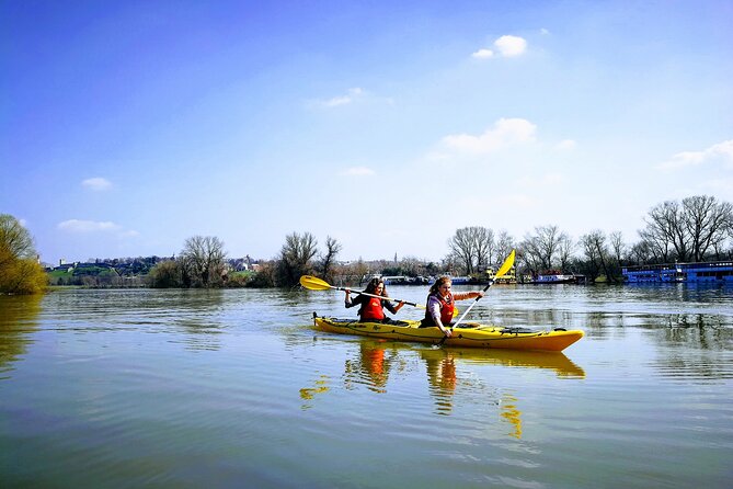 Belgrade War Island Kayak Tour - Sava River stop and the marshland bird-spotting moment