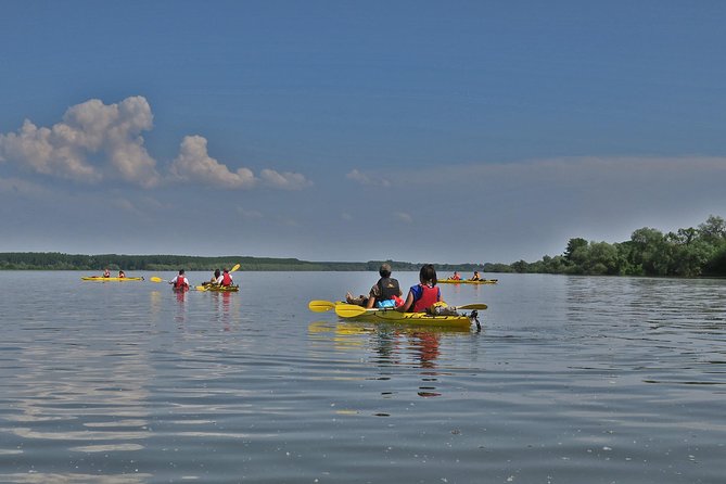 Belgrade War Island Kayak Tour - Willow forests and the Lido Beach tip: a practical swim break