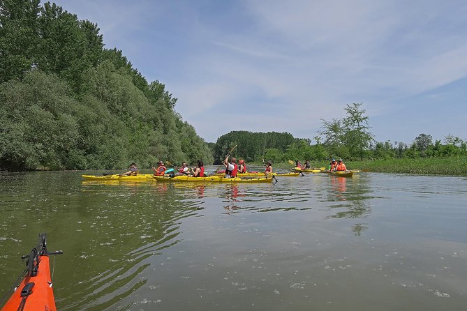 Belgrade War Island Kayak Tour - What makes the guides a big part of the value