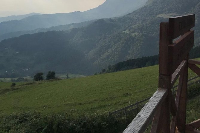 Feel Serbia - Mokra Gora’s Wooden Town, and Why Kusturica Matters