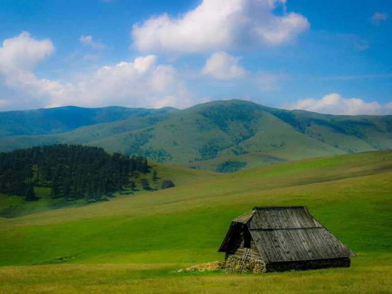 From Belgrade: Full-Day Guided Tour of Zlatibor Mountain - Zlatibor feels like a different side of Serbia