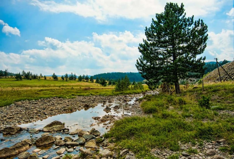 From Belgrade: Full-Day Guided Tour of Zlatibor Mountain - The 12-hour schedule, group size, and how it affects your day