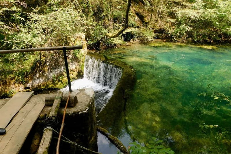 From Belgrade: Gems of Eastern Serbia Tour - Guides and driving: why the experience feels smooth