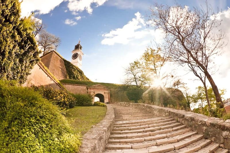From Belgrade: Novi Sad and Sremski Karlovci Day Trip - Why This Novi Sad and Sremski Karlovci Day Loop Works