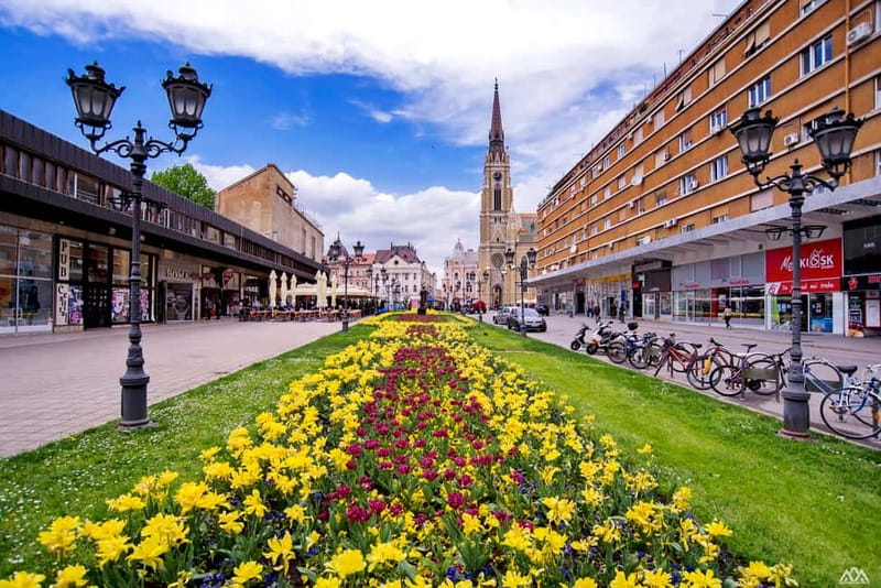 From Belgrade: Novi Sad and Sremski Karlovci Day Trip - Price and Value: What $160 Buys You (and What It Does Not)