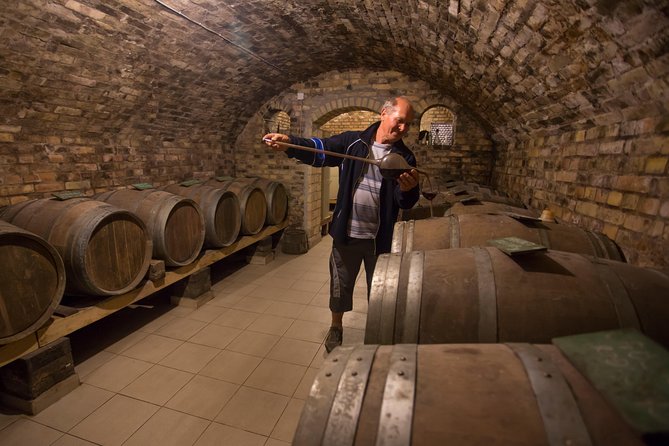 From Belgrade: Novi Sad and Sremski Karlovci Tour - Price and value: what $76 buys you in real time