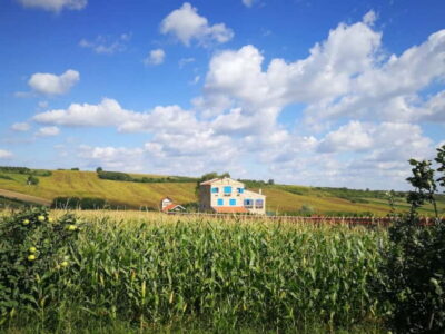Novi Sad & Fruska gora & winery and monastery