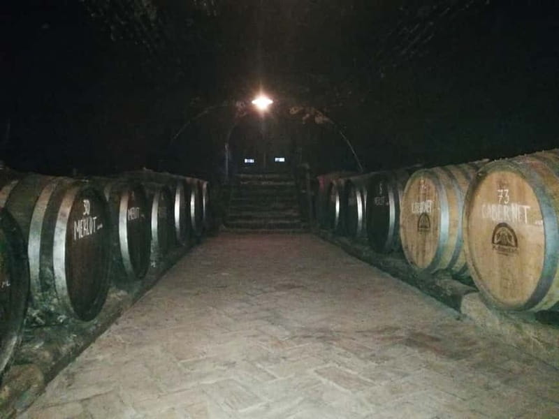 From Belgrade: Novi Sad & Fruska gora & winery and monastery - Timing, transport, and the small group advantage