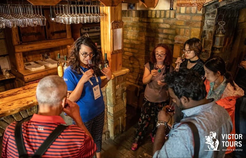 From Belgrade: Novi Sad & Sremski Karlovci Full-Day Tour - Vojvodina’s feel: why Novi Sad day trips feel like a change of country