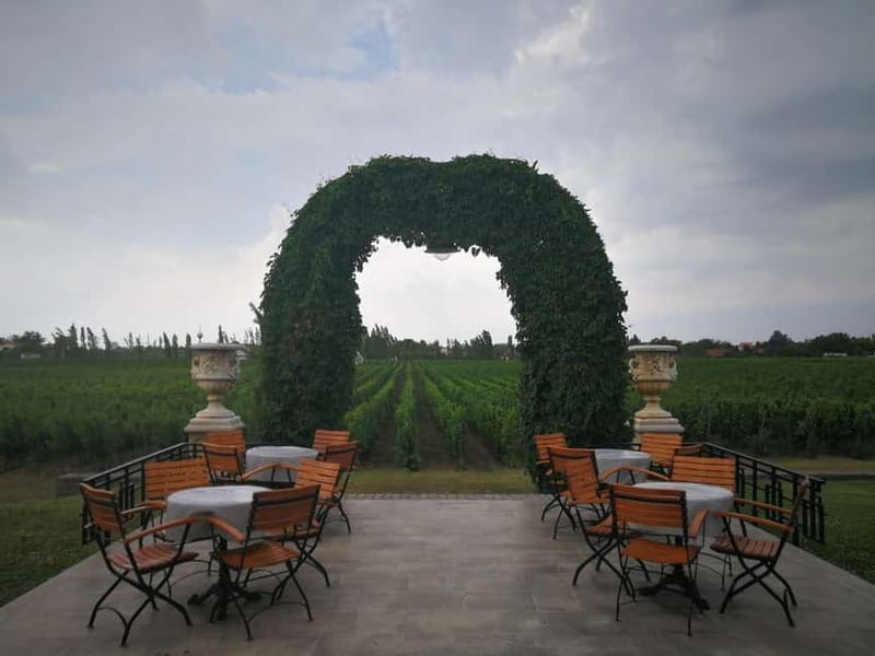 From Belgrade: Subotica and Palic Full-Day Trip with winery - Zvonko Bogdan Winery Visit, Plus the Real Cost of Tasting