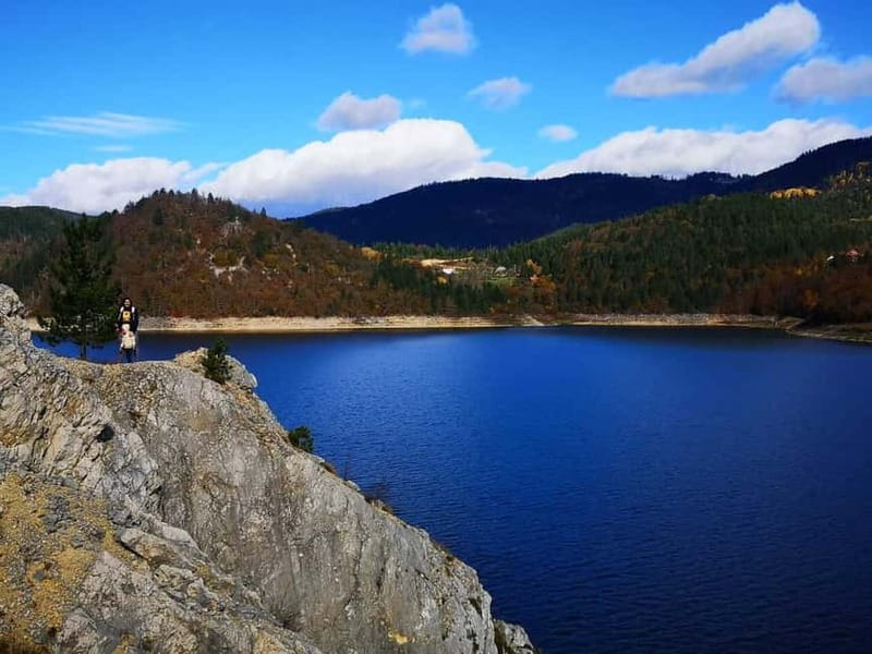 From Belgrade: Tara NP & Drina river & House on the Drina - What makes the guided experience work, especially with Milos