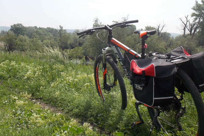 From Belgrade to Pančevo - into the wild - Why This Belgrade-to-Pančevo Bike Day Feels Different