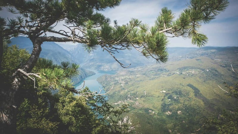 From Zlatibor/Užice: Mokra Gora & Tara National Park - Price and value: is $140 for 8 hours a good deal?