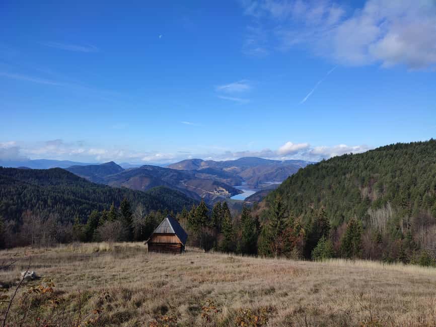 From Zlatibor/Užice: Tara National Park Adventure - Spajići Lake and Pančićeva Omorika: a short nature detour that feels unusually specific