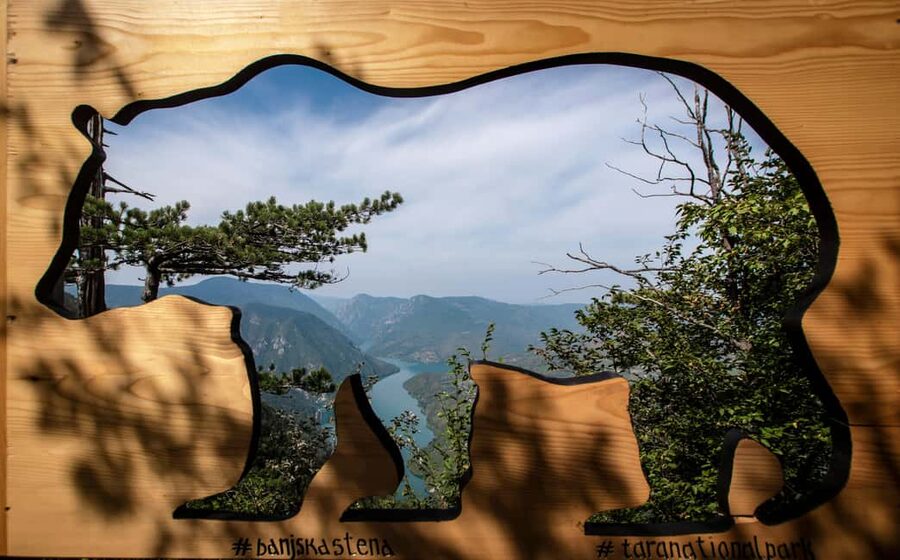 From Zlatibor/Užice: Tara National Park Adventure - Is $135 per person worth it? A straight value check for a private day