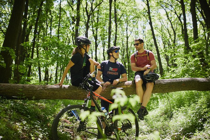 Fruška Gora Bike Tour - Sremski Karlovci Start, Easy Town Energy Before the Climb