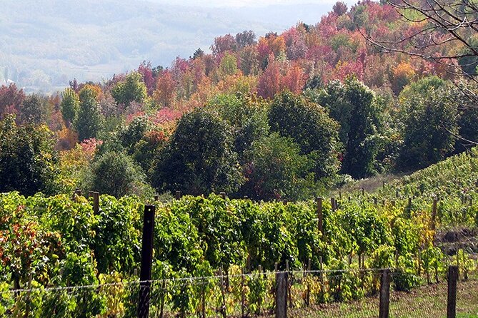 Full-Day Private Royal Heritage Tour to Oplenac With a Winery Visit - Aranđelovac Lunch, a Royal-Themed Break