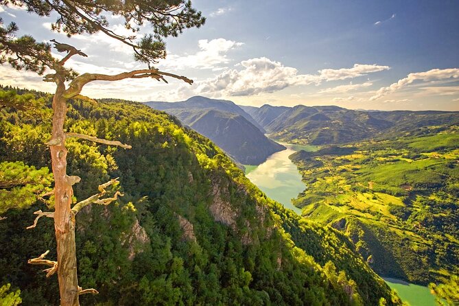 Full Day Trip from Belgrade: The Drina River House And Tara Park Tour - Drina River House Photo Stop: The Cabin in the Water, Plus the Story Behind It