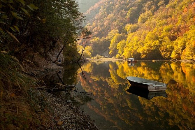 Full Day Trip from Belgrade: The Drina River House And Tara Park Tour - Price and Inclusions: What $162.21 Buys You, and What You Still Need to Pay