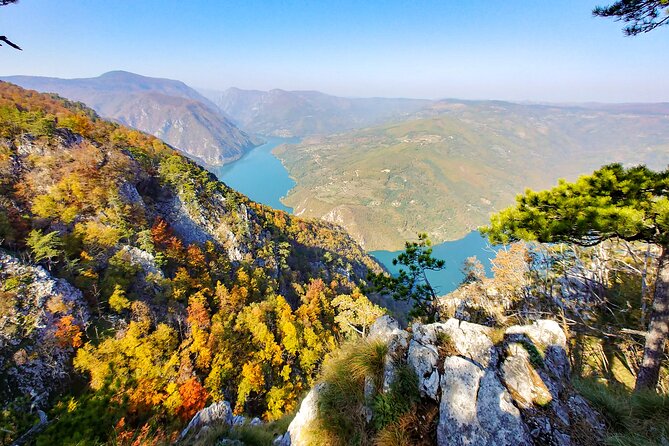 Full Day Trip from Belgrade: The Drina River House And Tara Park Tour - Tara National Park: 3 Hours in the Drina Gorge for Views and Wildlife Chances