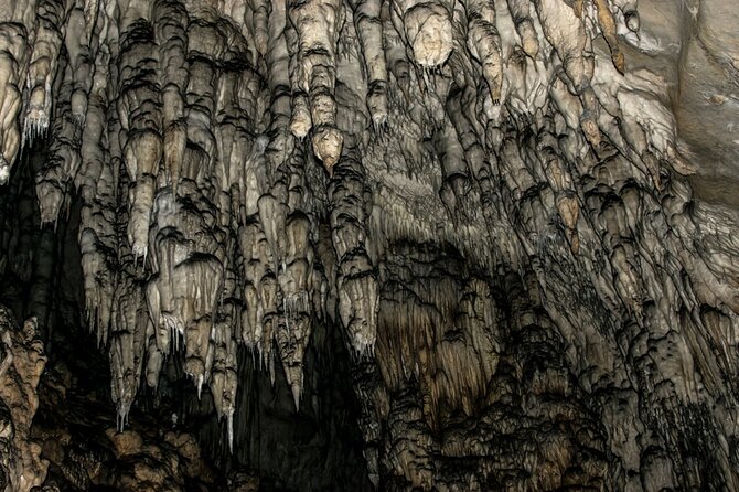 Full Day Trip from Belgrade: Uvac Nature Reserve Tour - Should you book the Full Day Trip from Belgrade to Uvac?