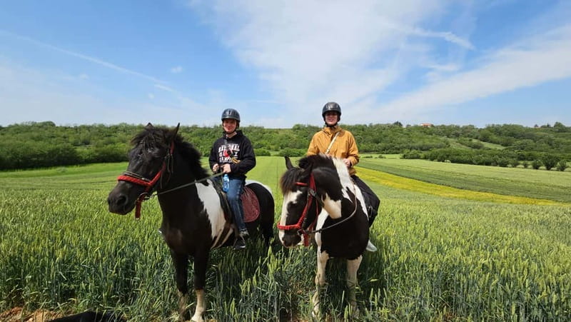 Horseback Trail Riding - Private Day Trip from Belgrade - Authentic Village Time: More Than a Quick Photo Stop
