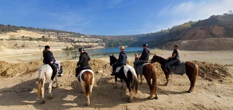 Horseback Trail Riding - Private Day Trip from Belgrade - How the Private Setup Changes the Whole Day