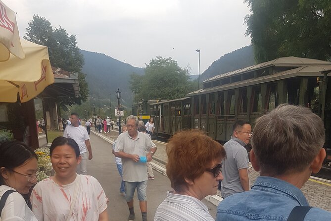 Mokra Gora toure with a Šargan 8 train ride - Drvengrad Wooden City by Emir Kusturica: a 45-minute culture reset