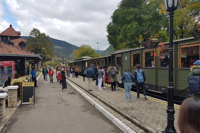 Mokra Gora toure with a Šargan 8 train ride - Price and what you truly get for your $118.29