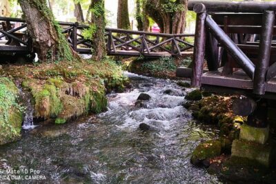 National Park Tara: House on Drina river, Banjska Stena View Point & Wooden Town