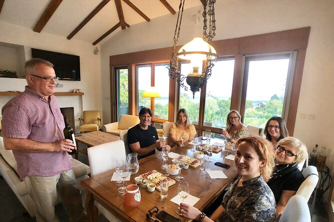 Natural wine tasting with great views - Organic grapes and natural wine making, explained as you go