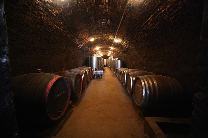 Novi Sad and Sremski Karlovci private tour with wine tasting - Stop 1: Novi Sad city centre walking tour for fast city orientation