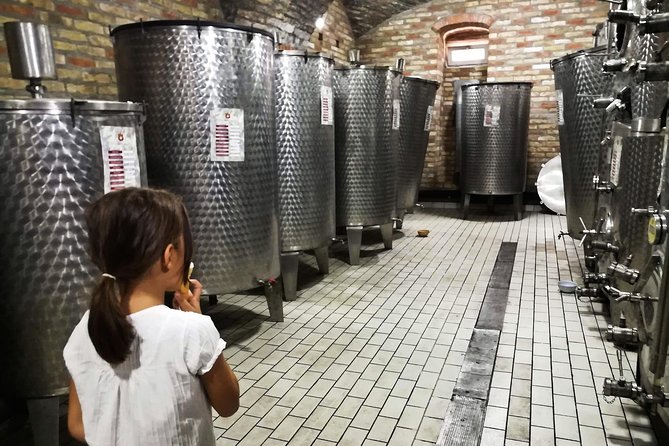 Novi Sad Saturday Full day trip - Where pickup fits in, and how to start smart