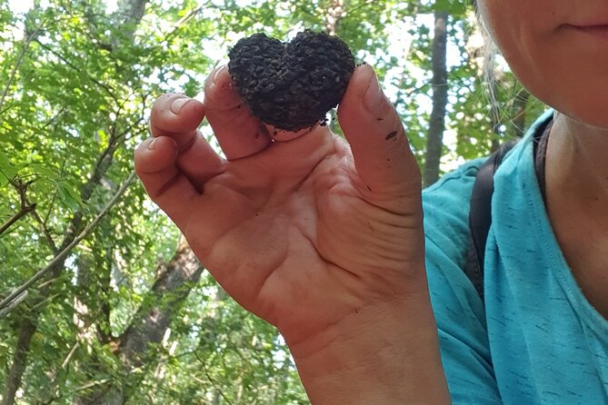 Private Guided Truffle Hunting Tour in Serbia with Lunch - Lunch After the Hunt: Local Wine, Truffle Pasta, and Truffle Jam