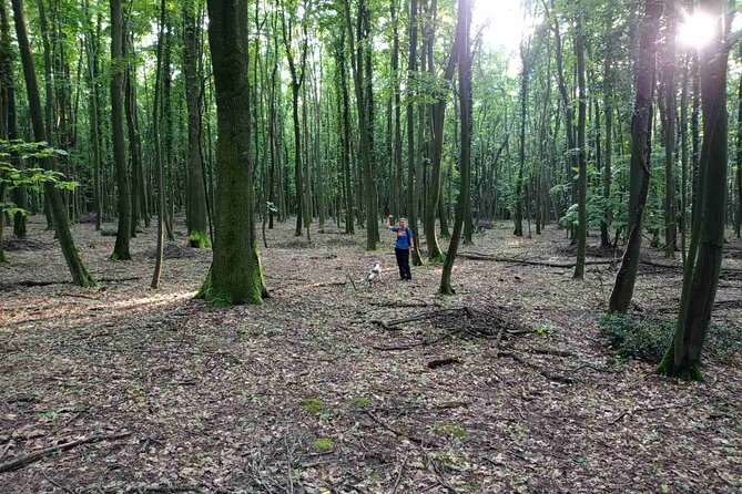 Private Guided Truffle Hunting Tour in Serbia with Lunch - White vs. Black Truffles in Serbia: Season Matters