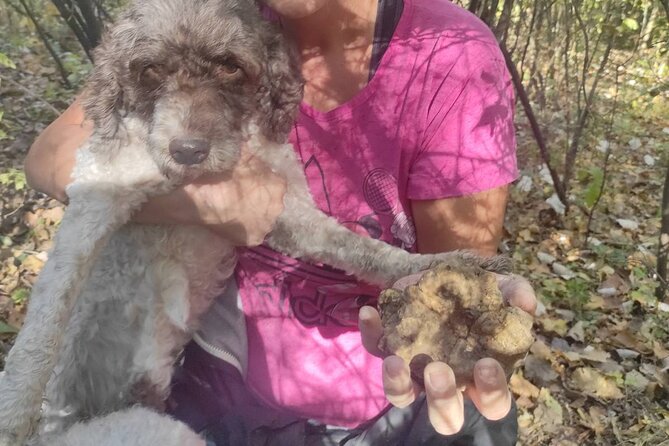 Private Guided Truffle Hunting Tour in Serbia with Lunch - What to Wear and Pack for Forest Time