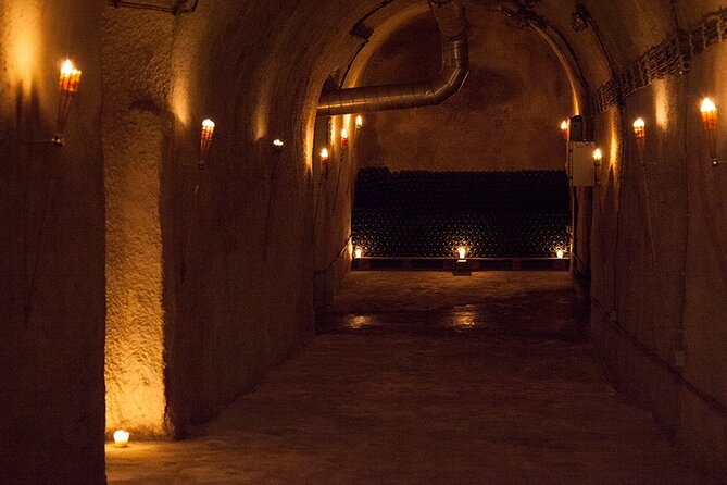 Private Wine Tasting by Party in Belgrade - What you taste and how food pairing is handled